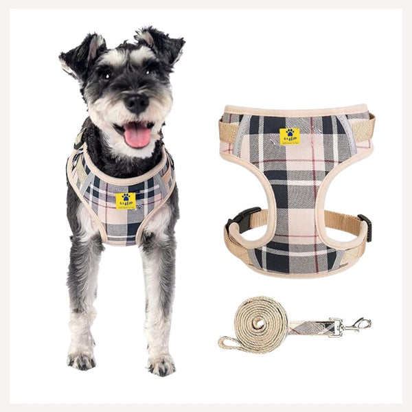 A a Pets Bur Berry Checks Harness Leash Set for Small Dogs Puppies www.aplusapets