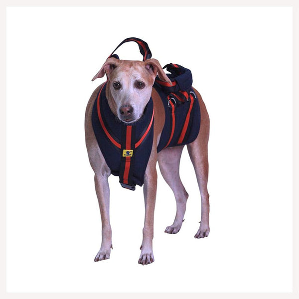 A a Pets Dog Body Support Harness Belt for Dogs with weak legs www.aplusapets