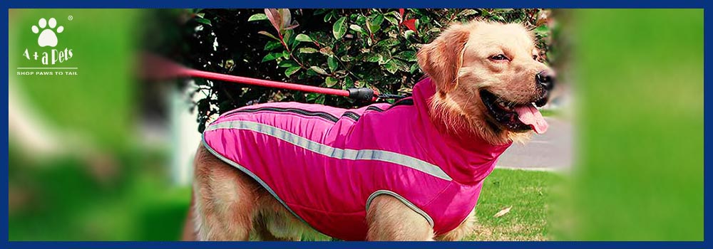 The Ultimate Guide to Choosing the Perfect Dog Raincoat: Keeping Your Dog Dry and Stylish!