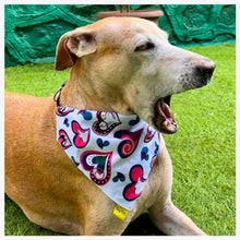 A+a Pets' 2in1 Scarf for Dogs & Cats | Bandana Collar Style Bib for All Ages - Hearts