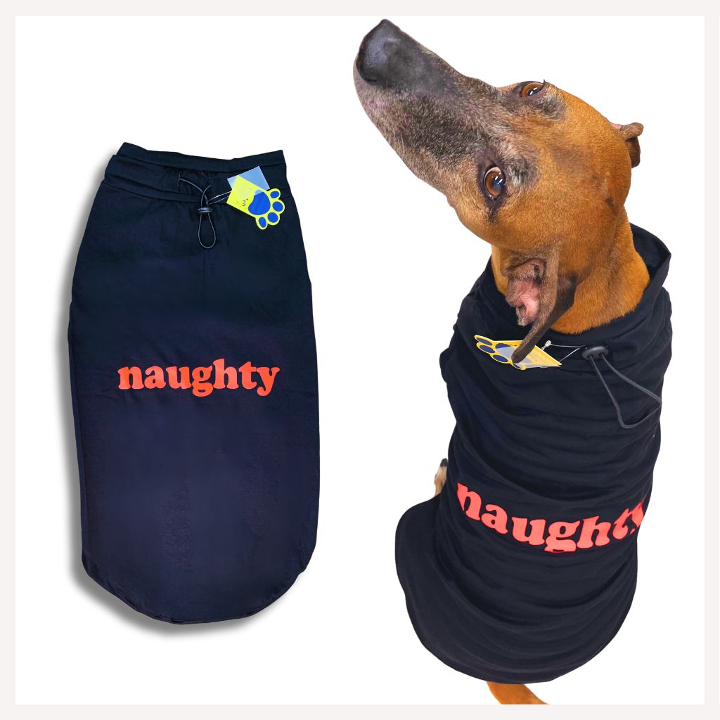 naughty dog t セール シャツ