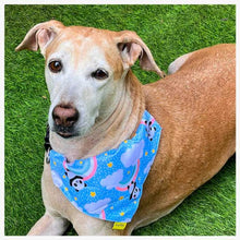 A+a Pets' 2in1 Scarf for Dogs & Cats | Bandana Collar Style Bib for All Ages - Teddy & Panda