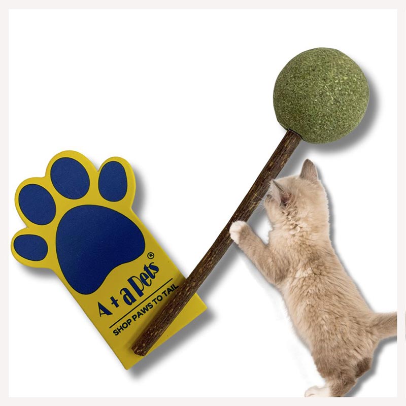 Cat 2024 paw toy