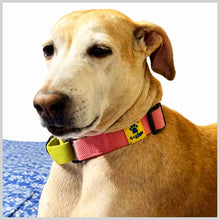 A+a Pets’ Martingale Dog Cotton Training Collar, for Large & Medium Dogs