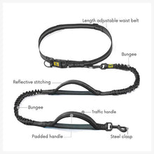 A+a Pets’ 2in1 Bungee Hands-Free Dual Hold Dog Leash