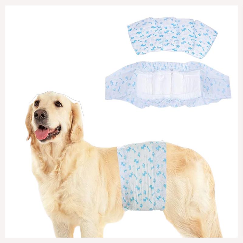 Disposable male dog store diapers