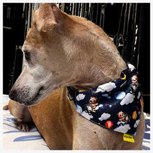 A+a Pets' 2in1 Scarf for Dogs & Cats | Bandana Collar Style Bib for All Ages - Teddy & Panda