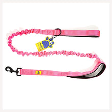 A+a Pets' Dual Handle Bungee Leash - Pink - www.aplusapets.com