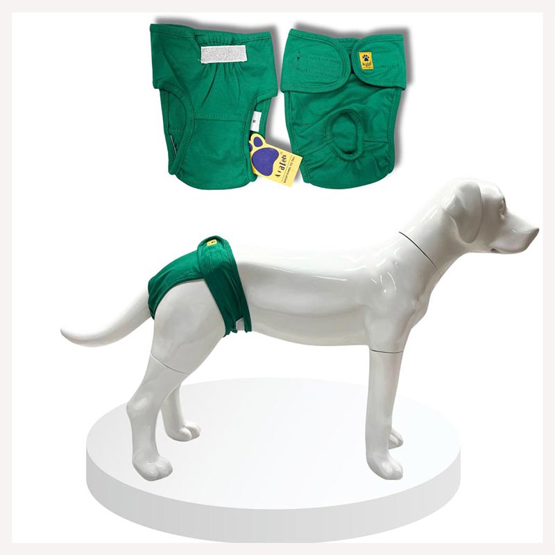 Human diapers retailers for dogs