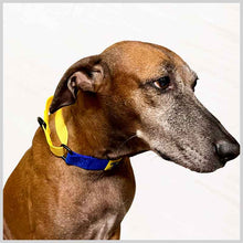 A+a Pets’ Martingale Dog Nylon Training Collar, for Large & Medium Dogs