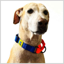 A+a Pets’ Martingale Dog Nylon Training Collar, for Large & Medium Dogs