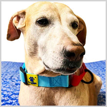 A+a Pets’ Martingale Dog Nylon Training Collar, for Large & Medium Dogs