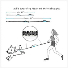 A+a Pets’ 2in1 Bungee Hands-Free Dual Hold Dog Leash