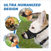 dog muzzle german shepherd