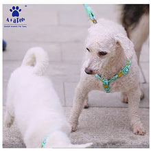 A+A Pets' Pirate Design Step In Harness - Green - www.aplusapets.com