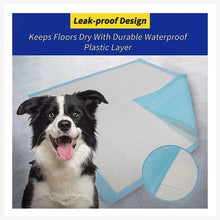 small dog potty pad