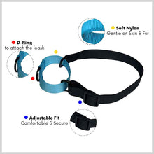 A+a Pets’ Martingale Dog Nylon Training Collar, for Large & Medium Dogs