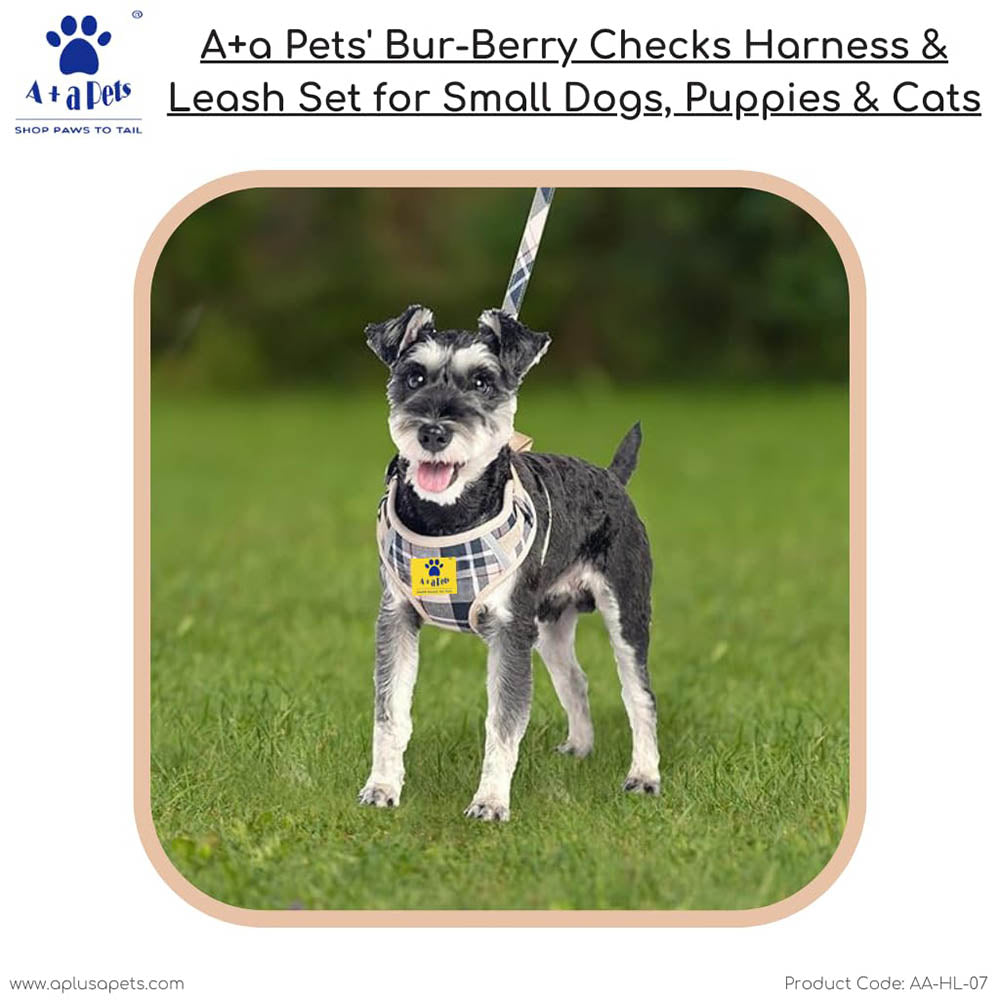 A a Pets Bur Berry Checks Harness Leash Set for Small Dogs Puppies www.aplusapets