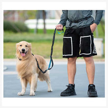 A+a Pets’ 2in1 Bungee Hands-Free Dual Hold Dog Leash