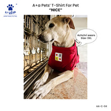 A+a Pets' Graphic Printed T-Shirt for Human 'WH' & Pets 'Nice' - Combo - Red/Red