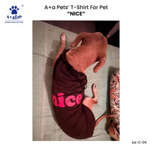 A+a Pets' Graphic Printed T-Shirt for Human 'WH' & Pets 'Nice' - Combo - White/Brown