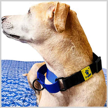 A+a Pets’ Martingale Dog Nylon Training Collar, for Large & Medium Dogs