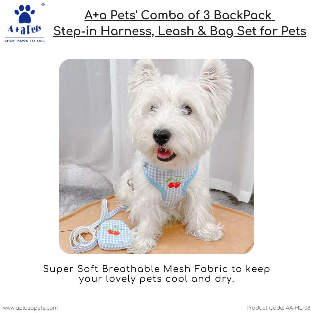 Dog harness best sale and leash combo