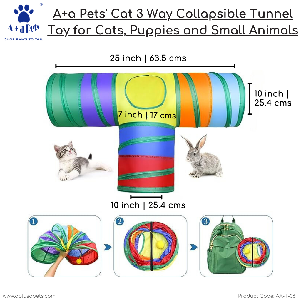 Collapsible tunnel store