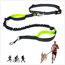 A+a Pets’ 2in1 Bungee Hands-Free Dual Hold Dog Leash