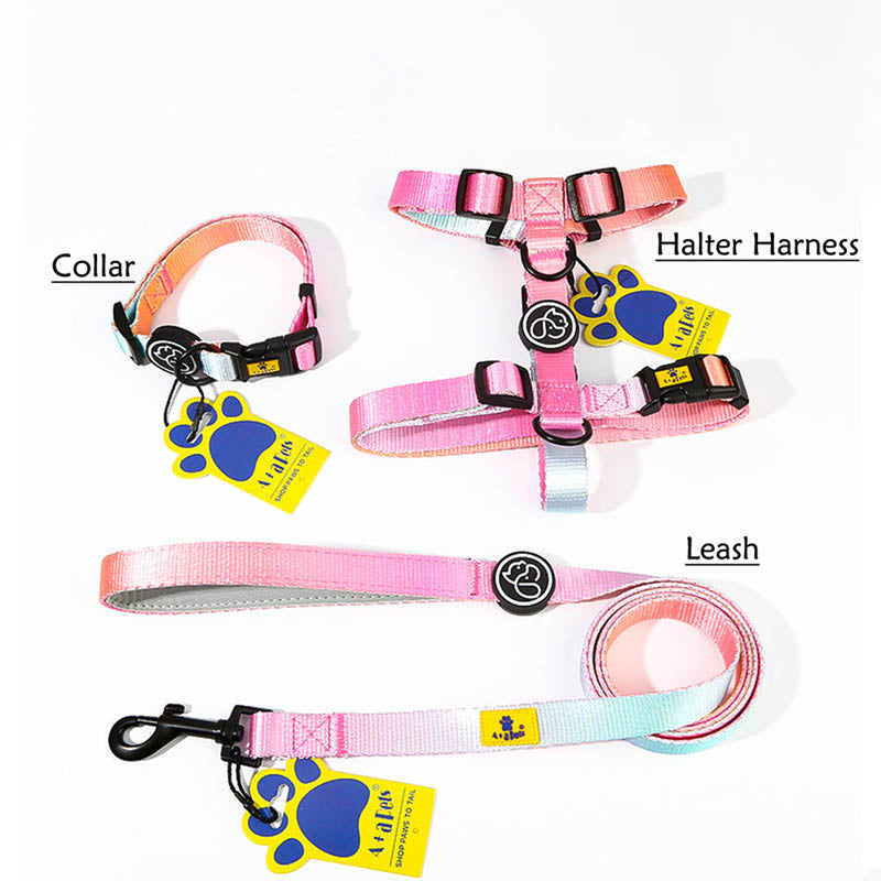 Collar harness deals leash set