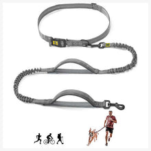 A+a Pets’ 2in1 Bungee Hands-Free Dual Hold Dog Leash