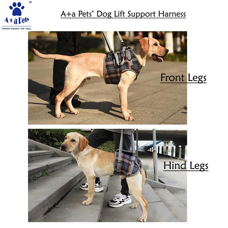 Dog high quality amputation harness