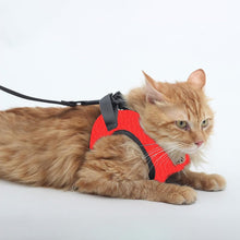 A+a Pets' Feather Weight' Cat and Puppy Harness & Leash Set - Grey - www.aplusapets.com