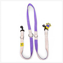 A+a Pets’ Multi-Function Cotton Leash to Walk 2 Dogs | Long, Short, Hands Free - Purple