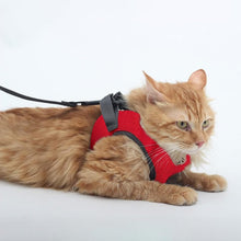 A+a Pets' Feather Weight' Cat and Puppy Harness & Leash Set - Grey - www.aplusapets.com