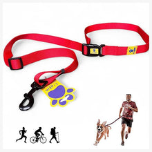 A+a Pets’ Hands Free, Waist Tieup Adjustable Nylon Dog Leash