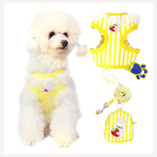 cute harness for puppies and cats