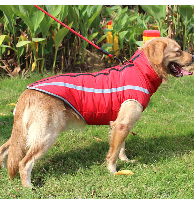 Red on sale dog jacket