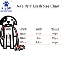 A+a Pets' Leash in Block Design - www.aplusapets.com